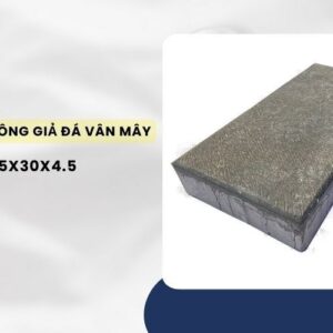 Gạch bê tông giả đá vân mây 15x30x4.5 tại Việt Cường Group
